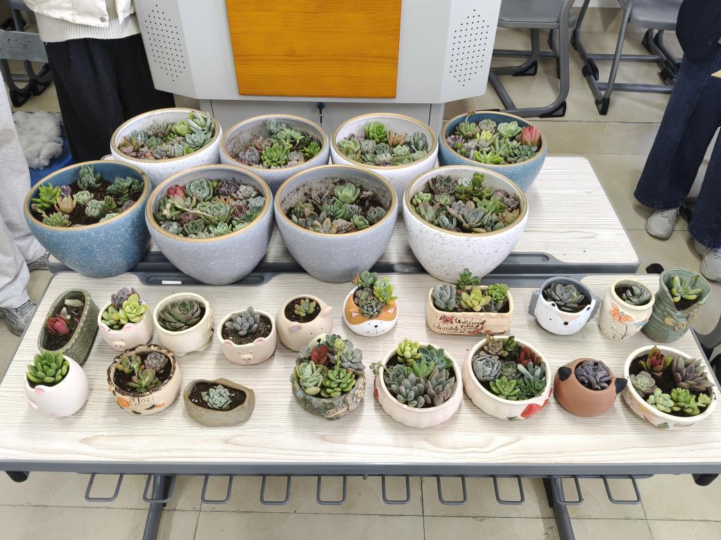 2026年3月13日best365中国官方网站海浪计划——“植绿春日，微景匠心”活动在医教楼607展开（同学们种植作品的大合照）